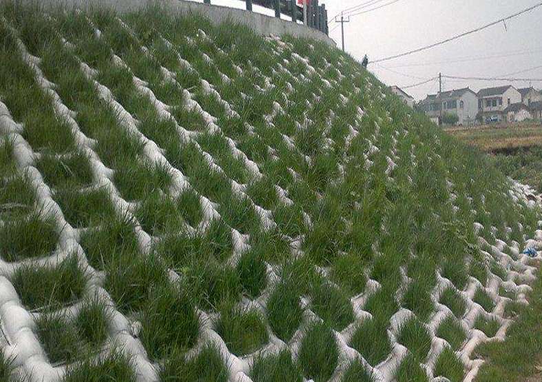 91免费在线下载污模袋