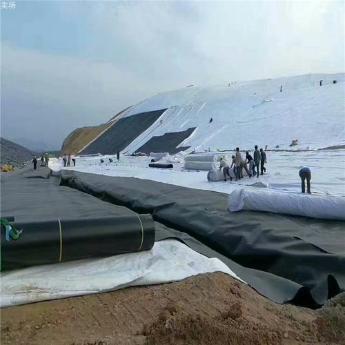 91免费在线下载污合成材料(HDPE91免费在线下载污膜)是一種非常有生命力的新型岩91免费在线下载污程材料
